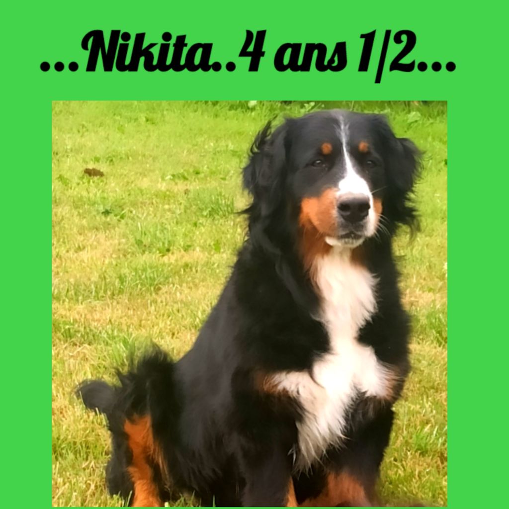 Nikita Du Domaine De Crécy Pompadour